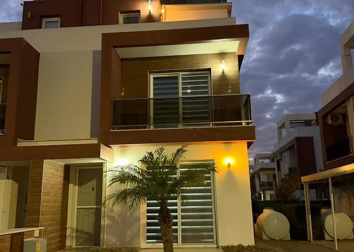 Royal Sun Comfortable